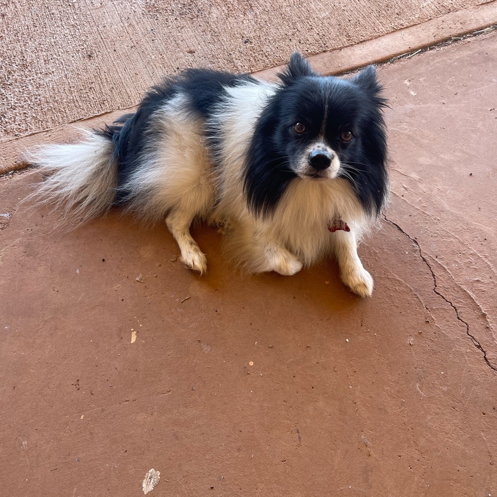 Extra shipping label